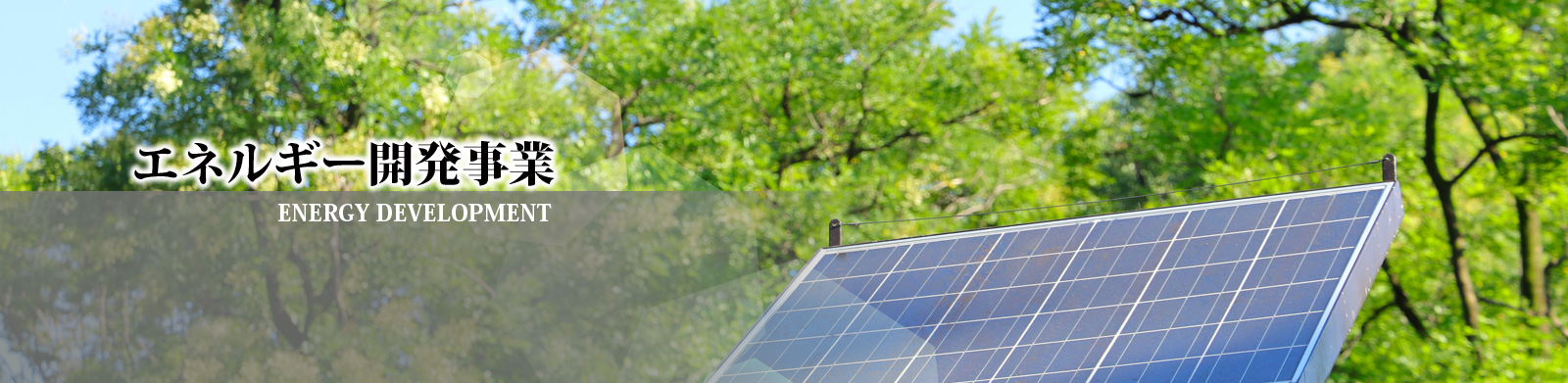 エネルギー開発事業